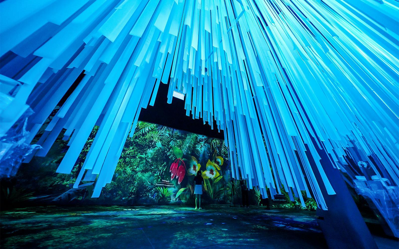 Gardens by the Bay Tickets: Cloud Forest (Jurassic World Experience) + Flower Dome + Supertree Observatory  Gallery Image