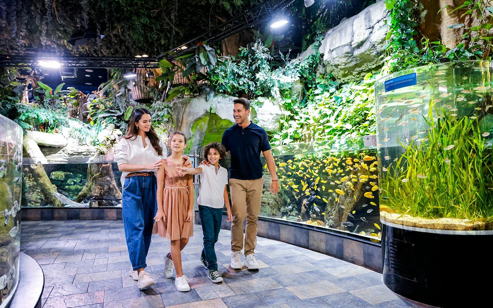Dubai Aquarium & Underwater Zoo with Penguin Cove Tickets Gallery Image