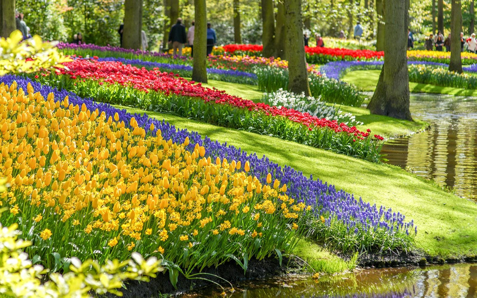 Tulips and colorful flowers along a pond at Keukenhof Gardens, Netherlands. Tulips and colorful flowers along a pond at Keukenhof Gardens, Netherlands.