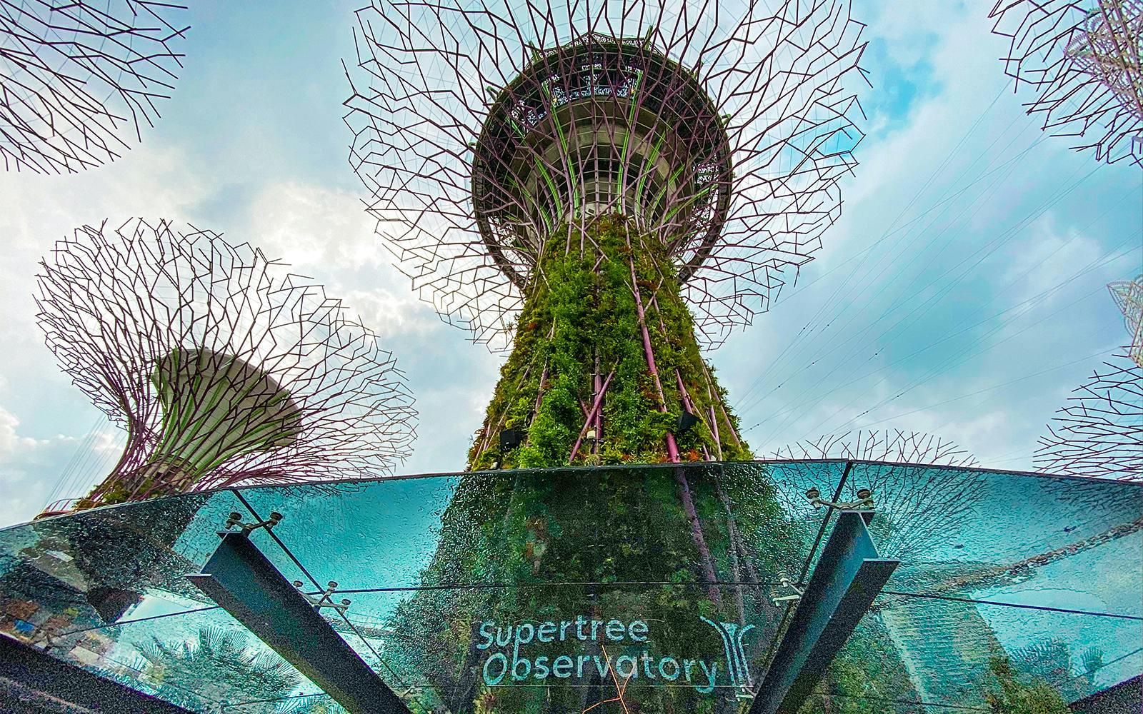 Gardens by the Bay Tickets: Cloud Forest (Jurassic World Experience) + Flower Dome + Supertree Observatory  Gallery Image
