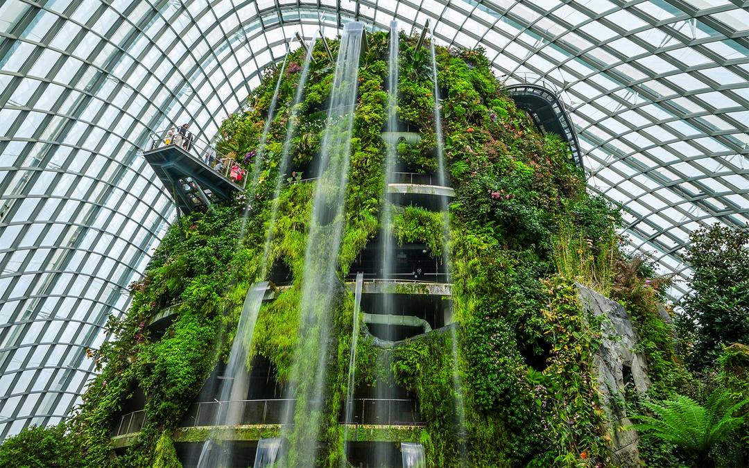 Gardens by the Bay Tickets: Cloud Forest (Jurassic World Experience) + Flower Dome Gallery Image