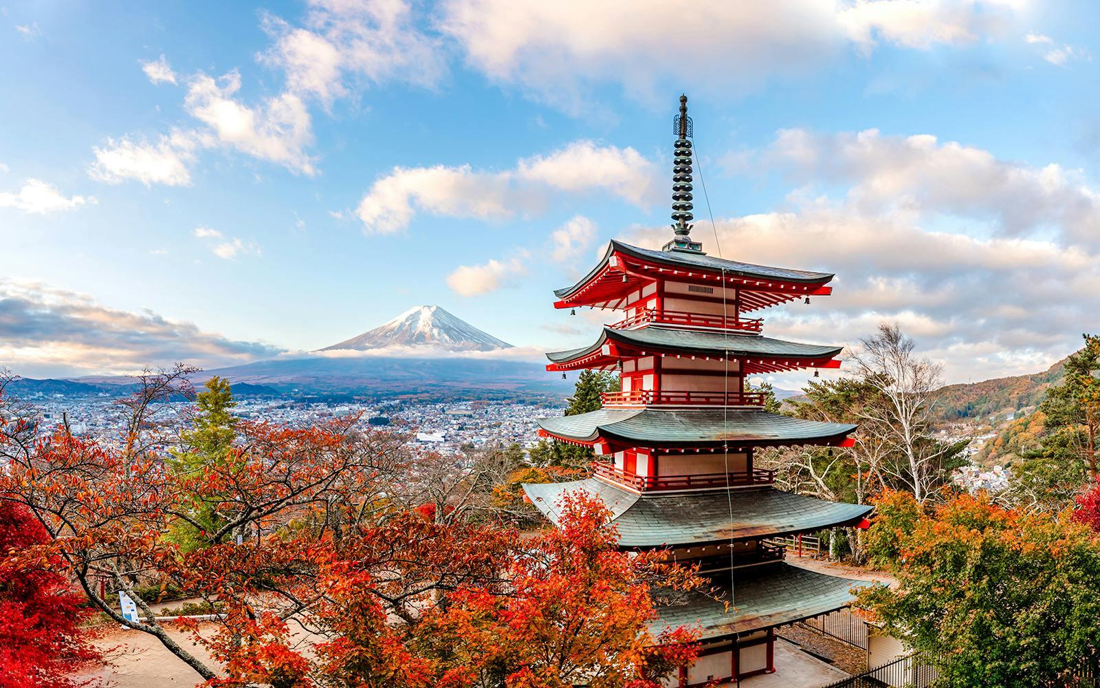 Mount Fuji Highlights Tour: Chureito Pagoda, Lake Kawaguchi, Oshino Hakkai, & More, Tokyo
