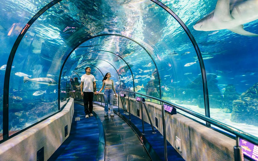 Barcelona Aquarium Skip-the-Line Tickets Image 1 Barcelona Aquarium Skip-the-Line Tickets Gallery Image