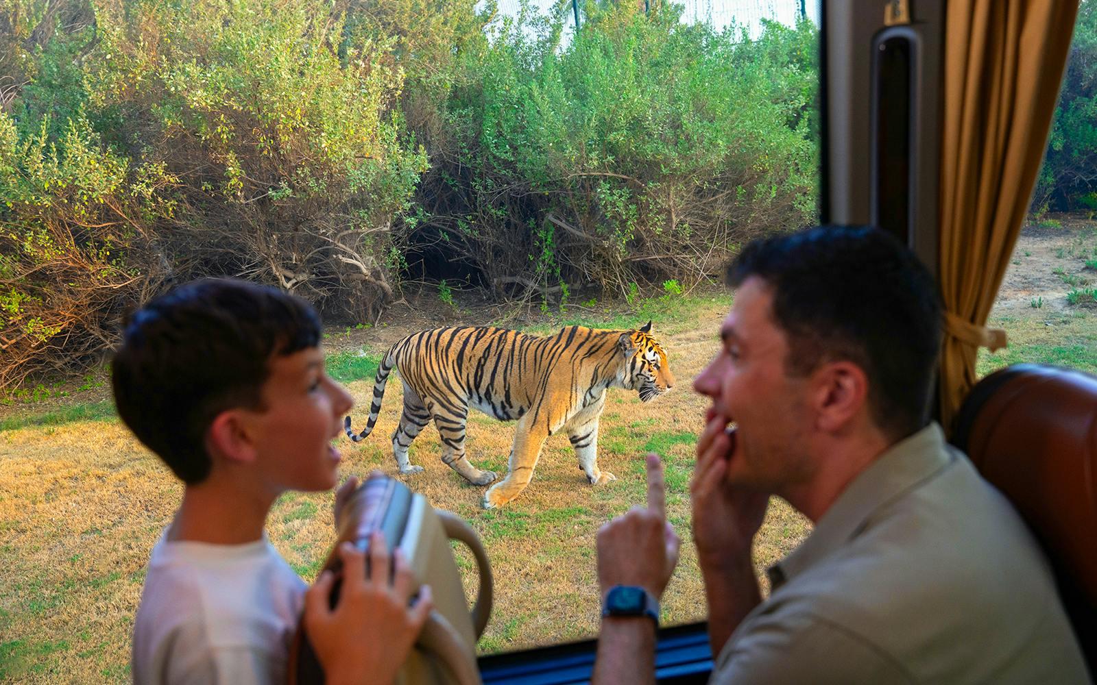 Dubai Safari Park Tickets Image 9 Dubai Safari Park Tickets Gallery Image