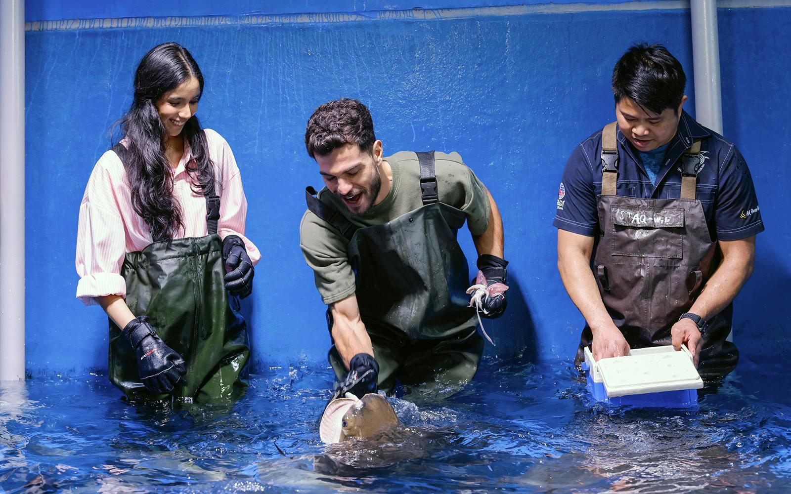 Dubai Aquarium & Underwater Zoo with Penguin Cove Tickets Image 8 Dubai Aquarium & Underwater Zoo with Penguin Cove Tickets Gallery Image