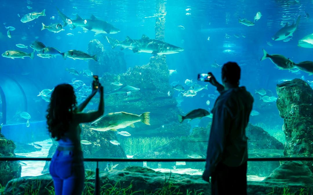 Barcelona Aquarium Skip-the-Line Tickets Image 2 Barcelona Aquarium Skip-the-Line Tickets Gallery Image