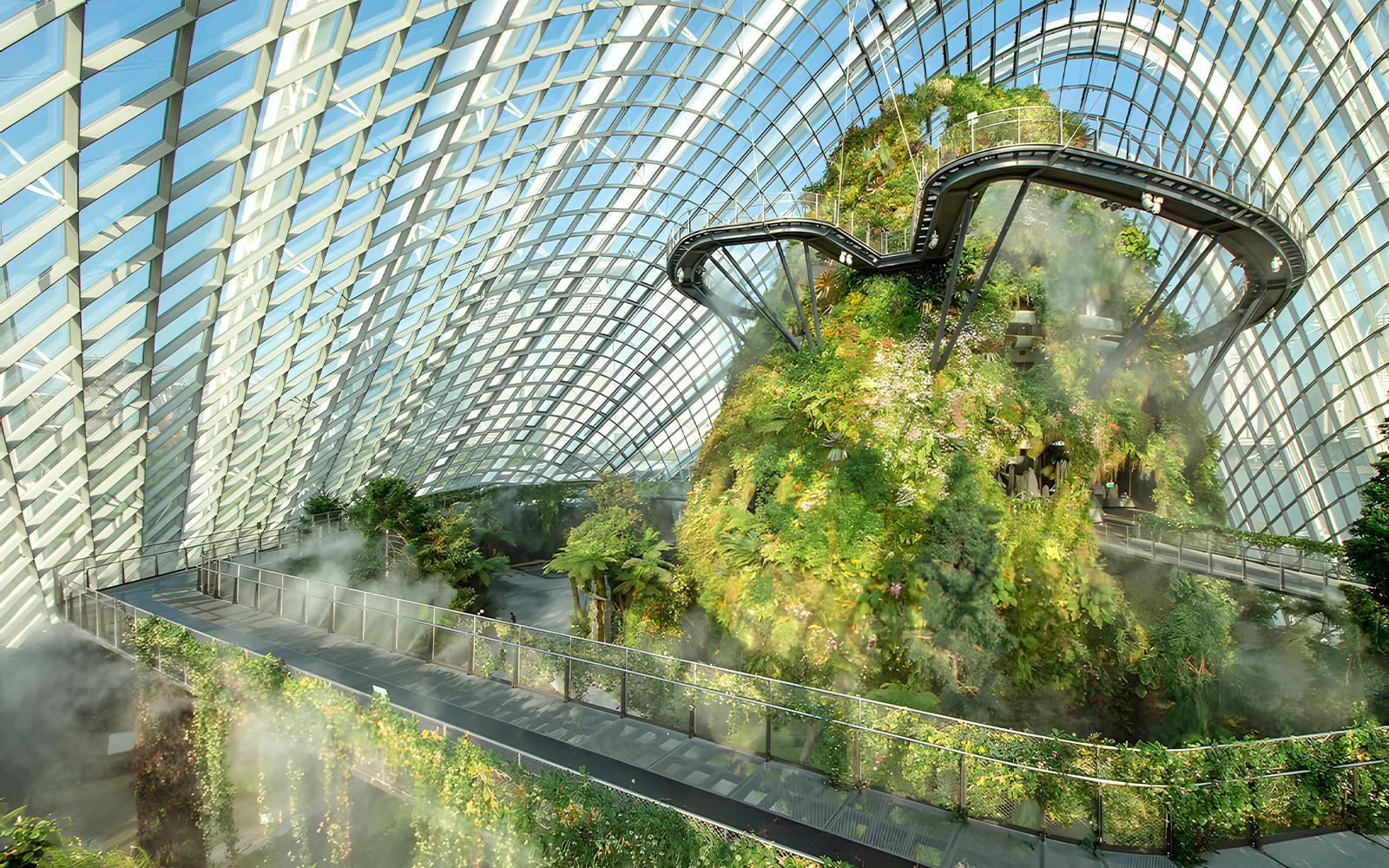 Gardens by the Bay Tickets: Cloud Forest (Jurassic World Experience) + Flower Dome + Supertree Observatory Image 5 Gardens by the Bay Tickets: Cloud Forest (Jurassic World Experience) + Flower Dome + Supertree Observatory Gallery Image