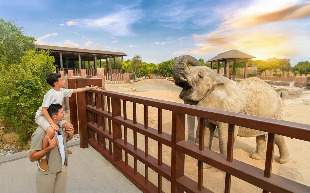 Dubai Safari Park Tickets Image 7 Dubai Safari Park Tickets Gallery Image
