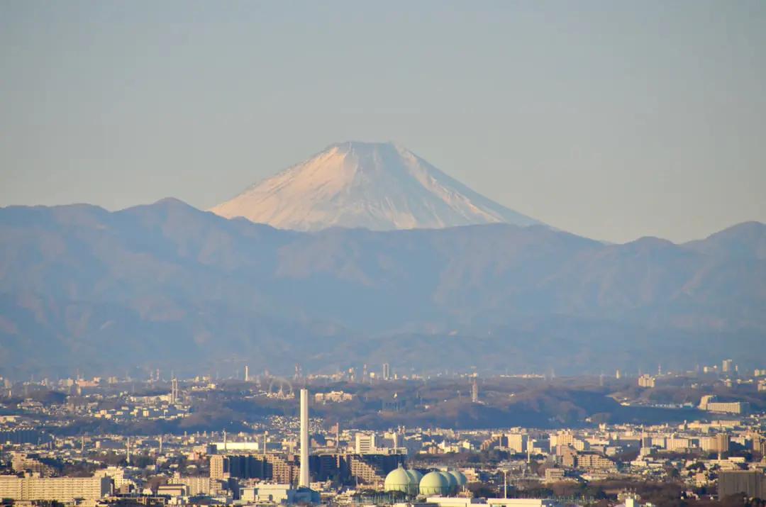 Activities in Tokyo
