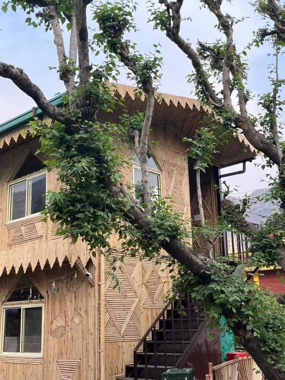 Bamboo Garden Cottages and Cafe Bamboo Garden Cottages and Cafe